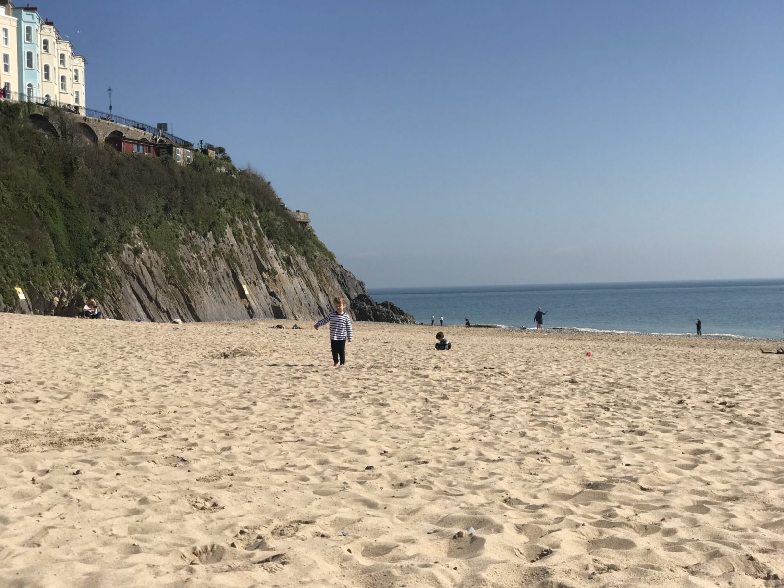 Dexter walking on the sand on Tenby south beach with the sea behind him and cliffs to the left