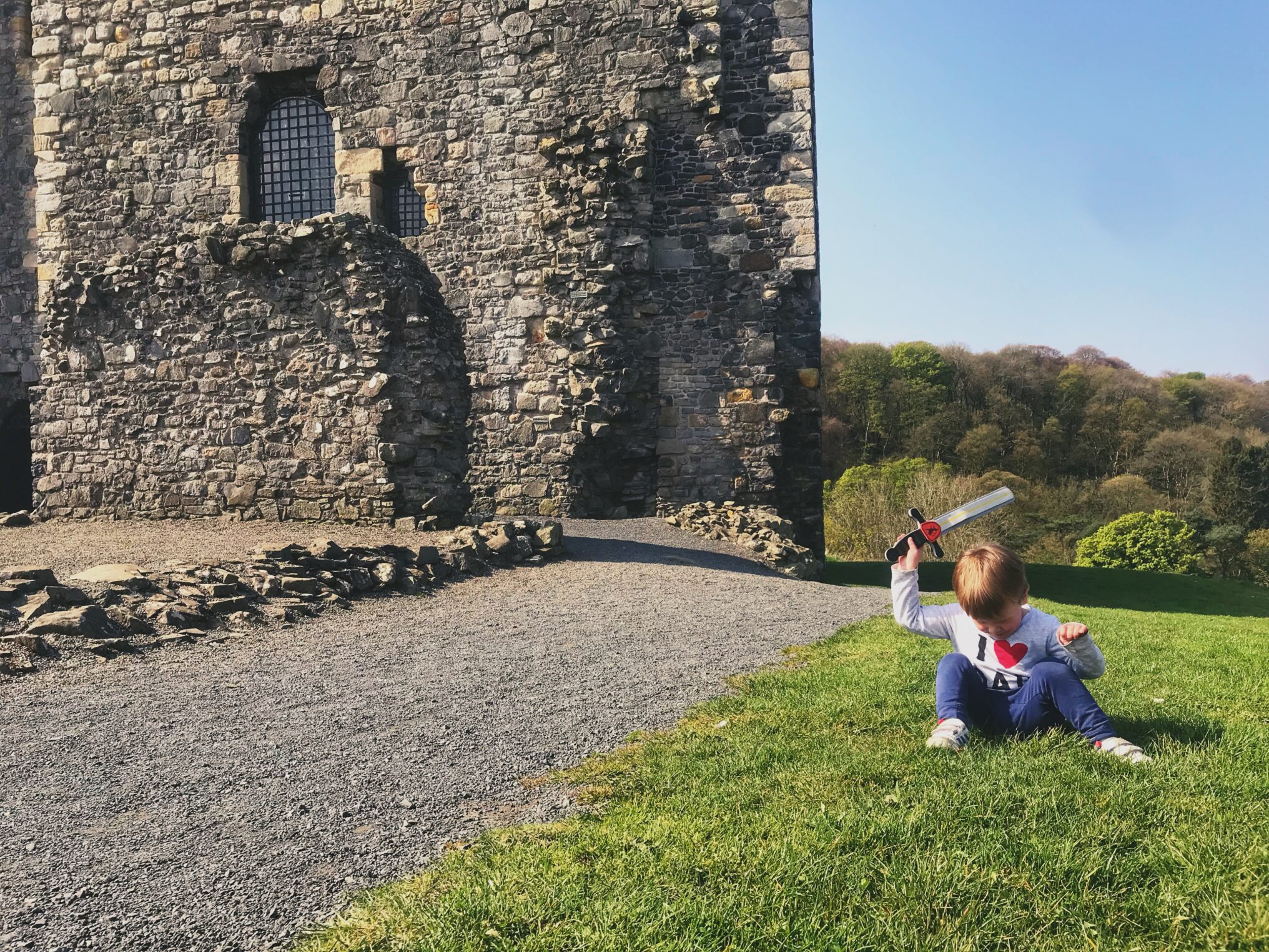 Dexter sat on grass outside Dundonald castle holding a plastic sword in the air