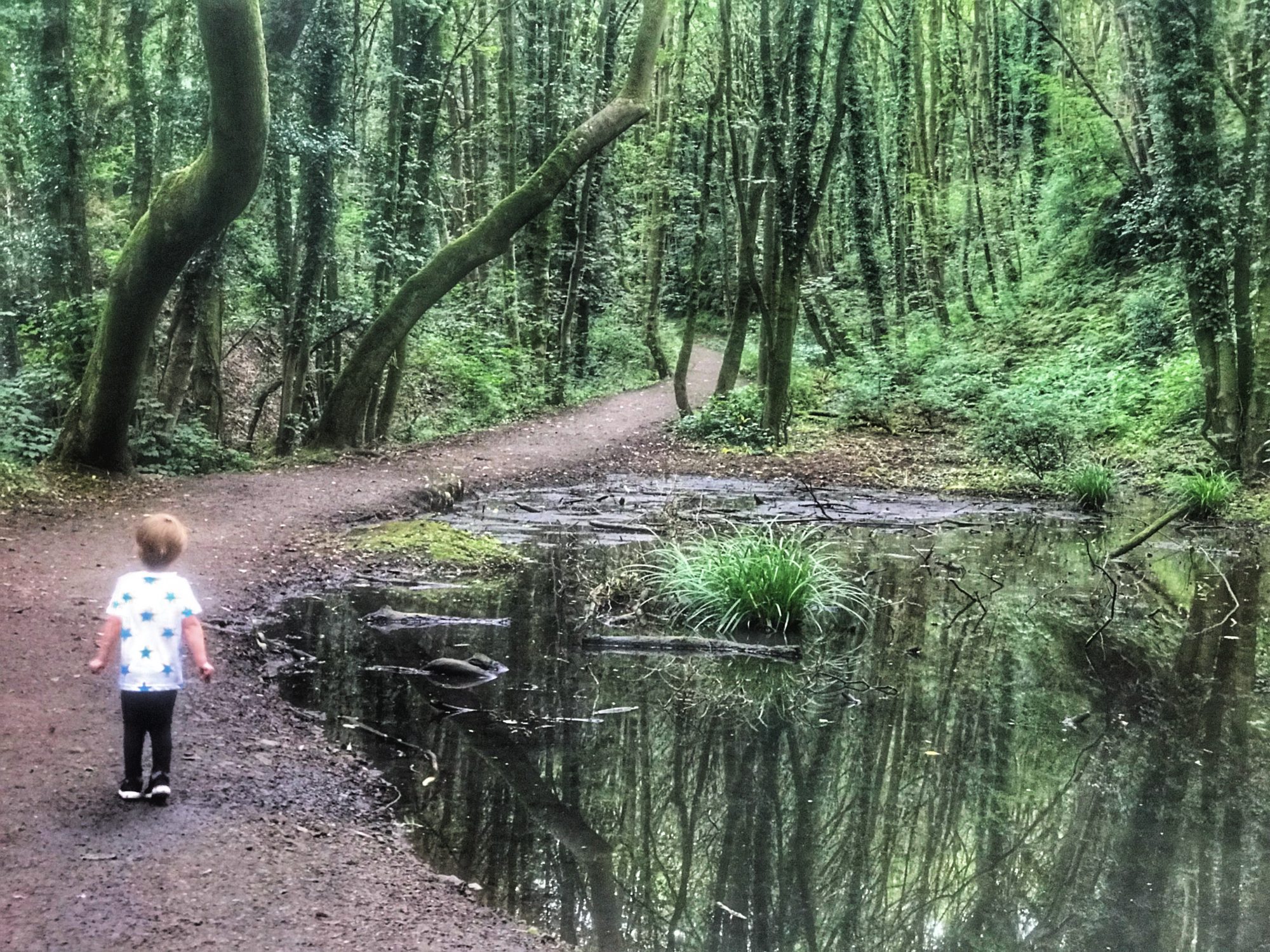 Dexter stood next to a pond in Fairy Glen, Parbold