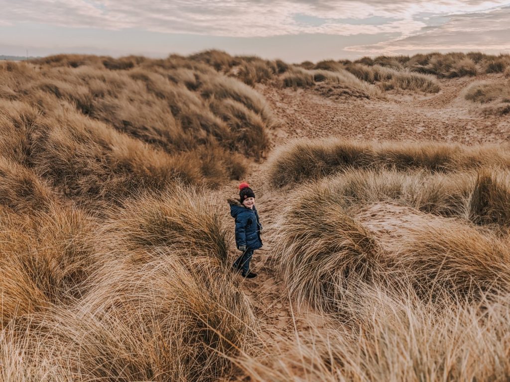 Dexter in the long grass of the sand dunes on Ainsdale beach