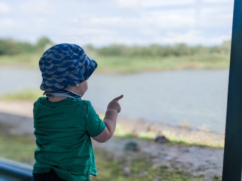 Felix inside a hide at WWT Caerlaverock pointing at the ducks