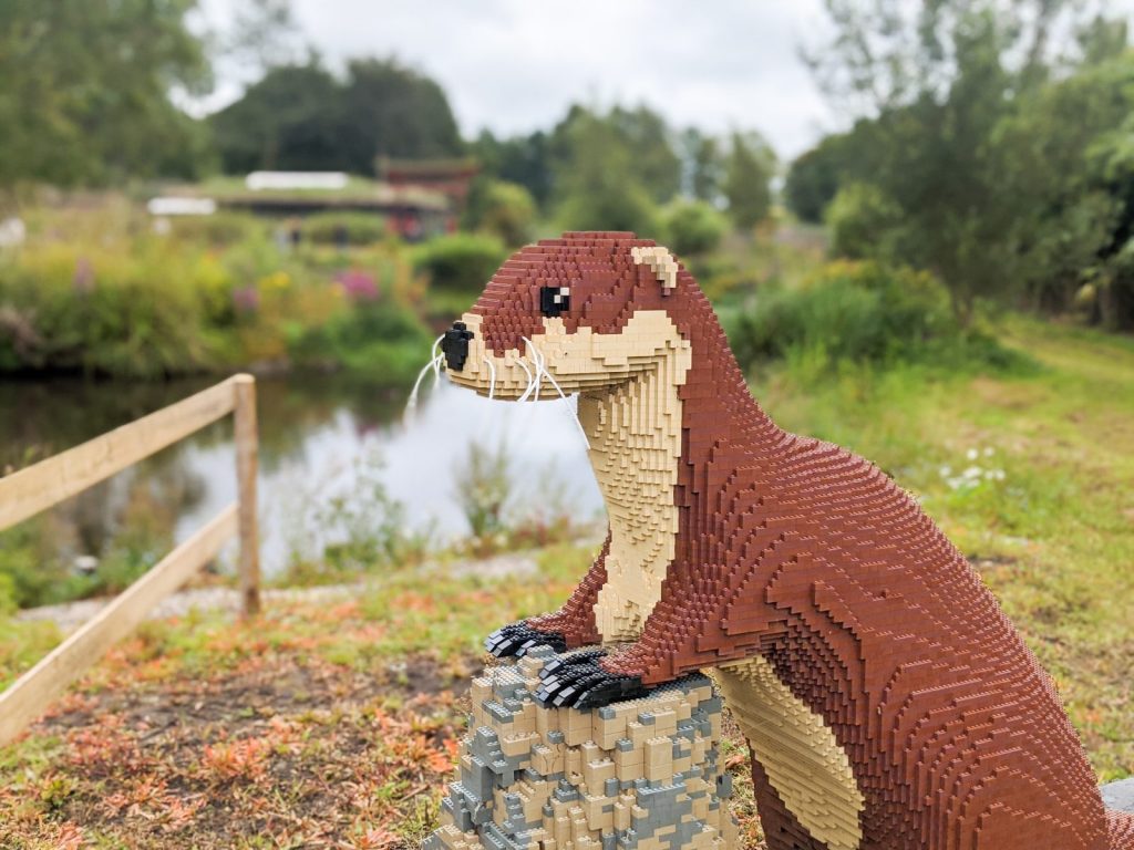 Lego otter at Martin mere Wetlands Centre