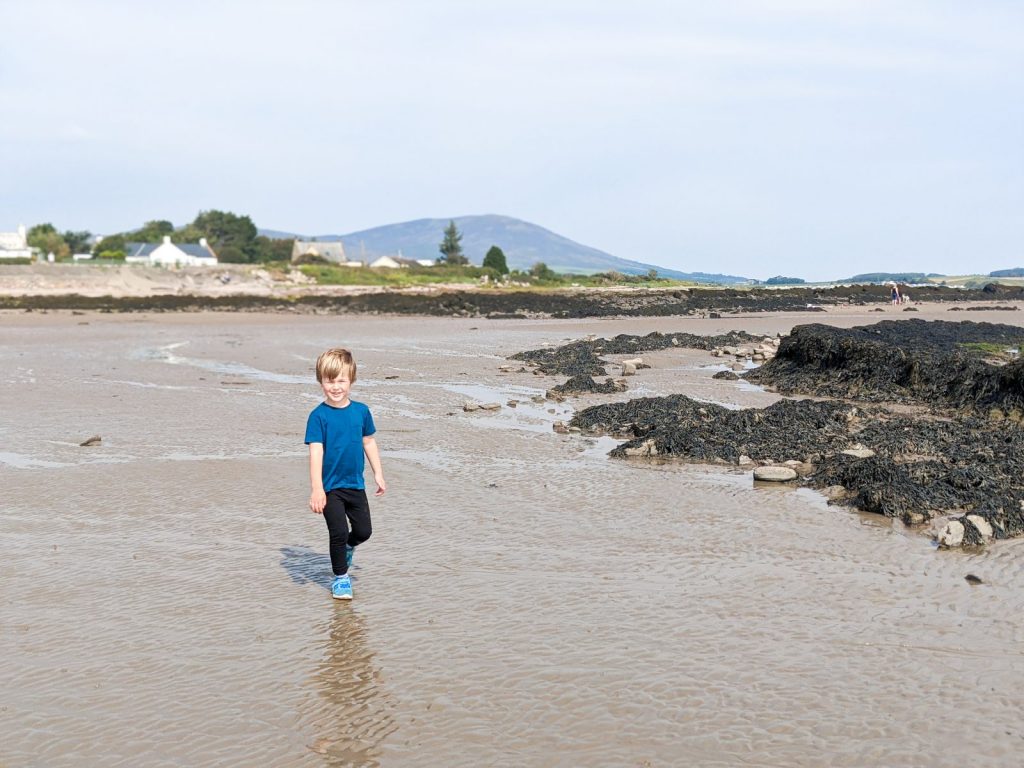 Dexter walking on Southerness beach