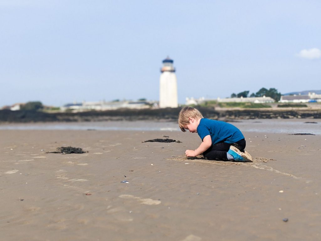 Dexter playing on Southerness beach with the lighthouse in the background