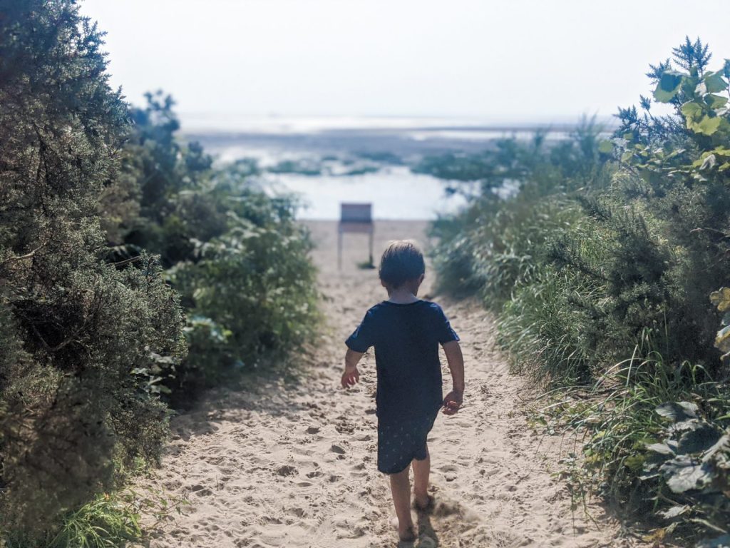 Dexter heading onto Sandyhills beach