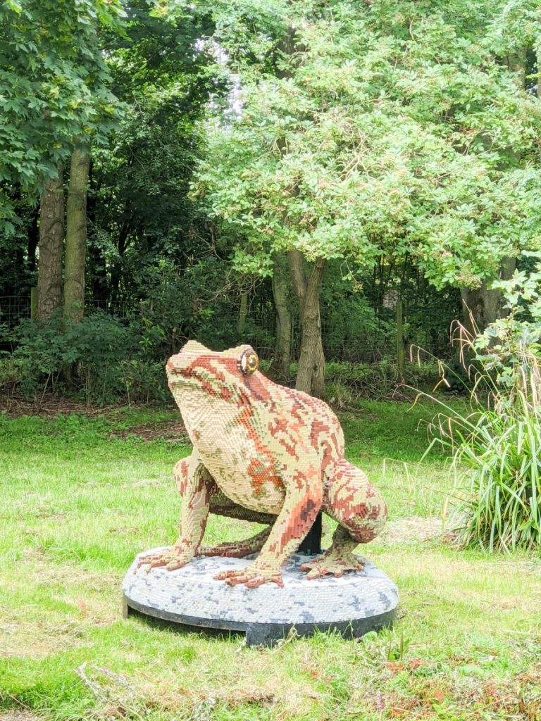 Lego frog at Martin Mere Wetlands Centre