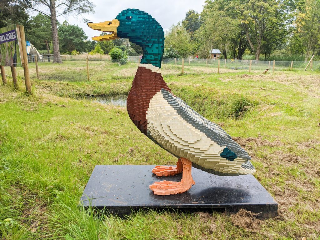 Lego duck at Martin Mere Wetlands Centre