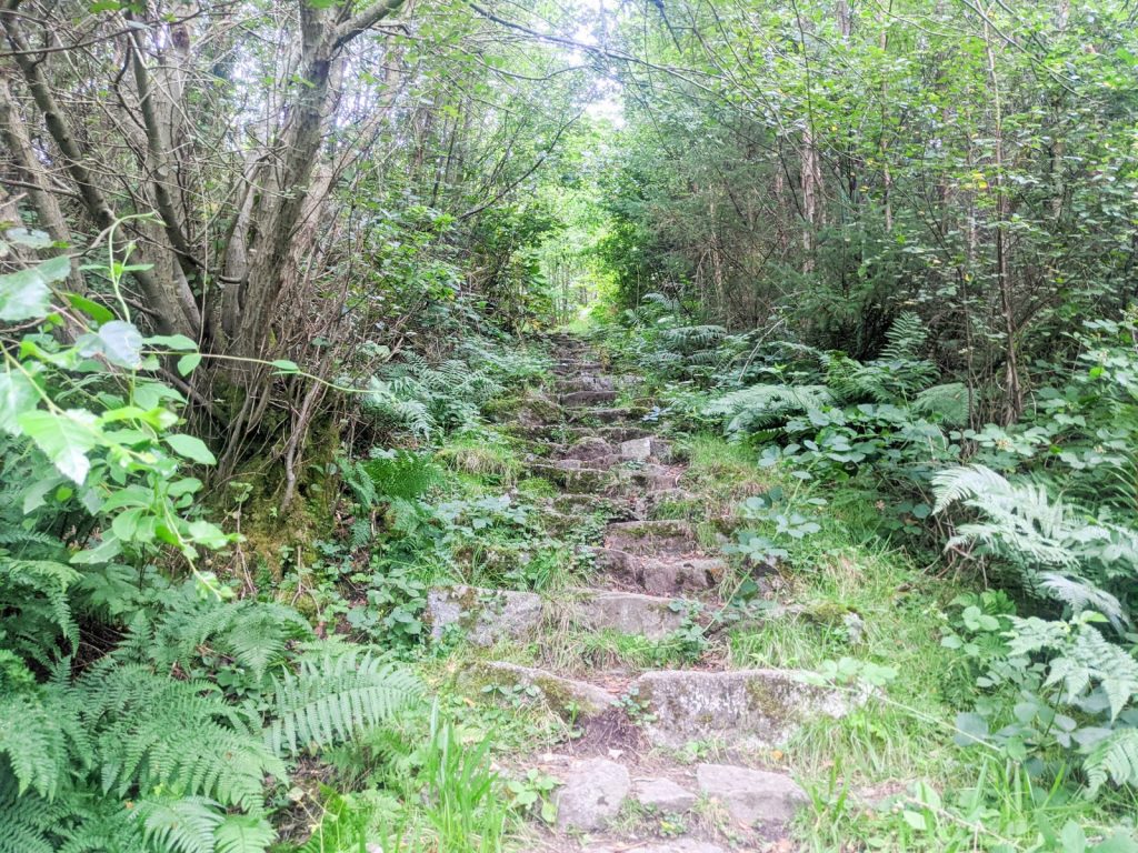 Granite steps up Waterloo hill