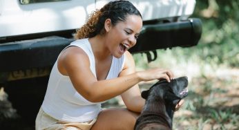 Canine Adventures: Best Practices for Traveling with Your Four-Legged Companion